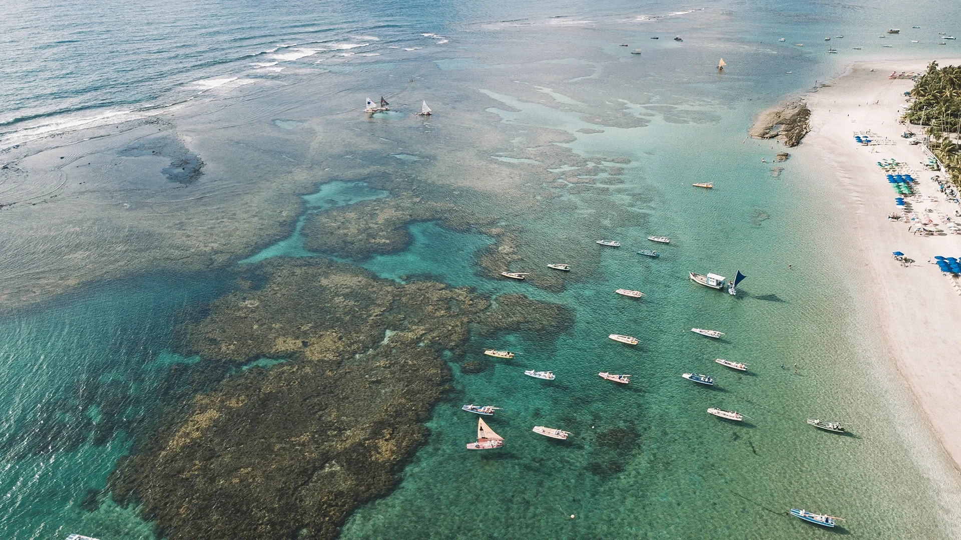 Guia completo das melhores praias de Porto de Galinhas: um paraíso tropical esperando por você