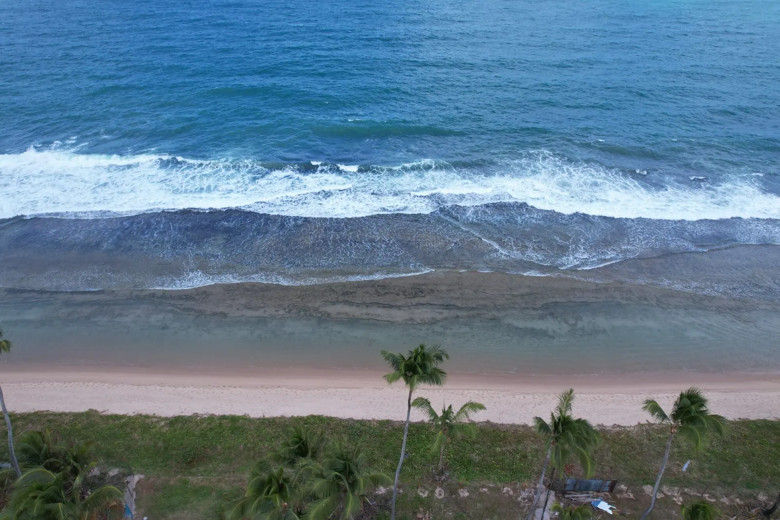 Vista aérea da orla de Muro Alto, com coqueiros, areia e o mar
