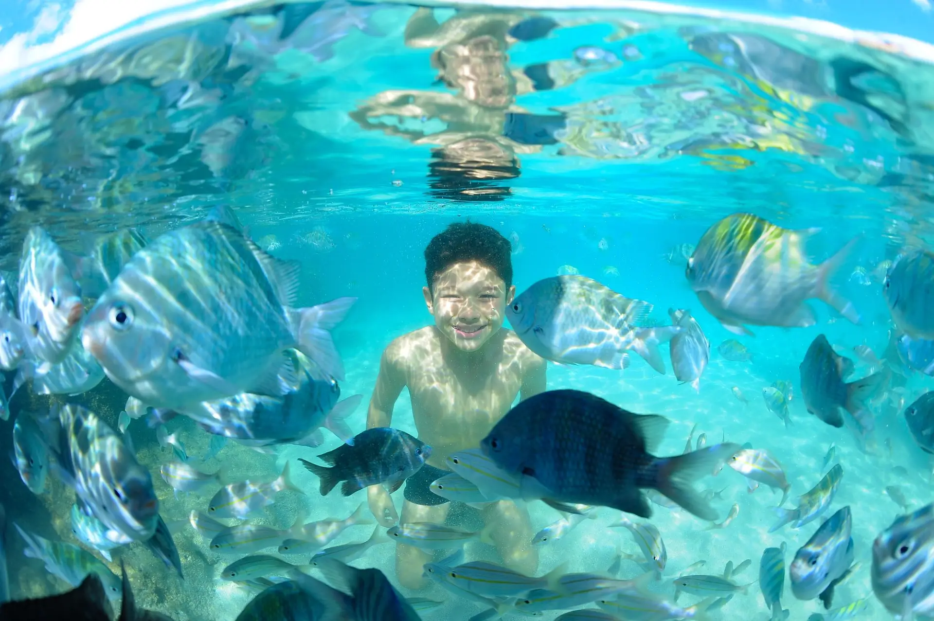 Menino sorri debaixo d\u2019\u00e1gua, cercado por um cardume de peixes, em piscina natural de \u00e1guas cristalinas em Porto de Galinhas (PE)